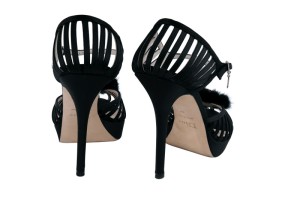Dior Swan